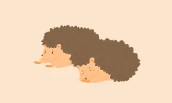 The Hedgehog Dilemma